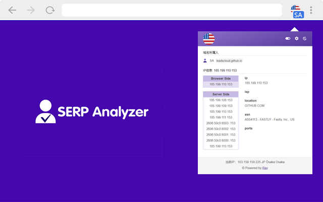 SERP Analyzer - 域名所属人IP信息及国旗截图2