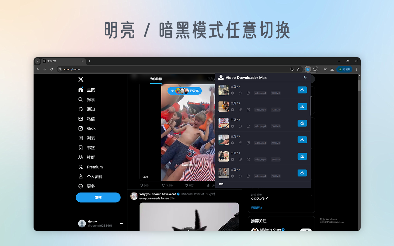 VidDown - 专业视频下载器截图3