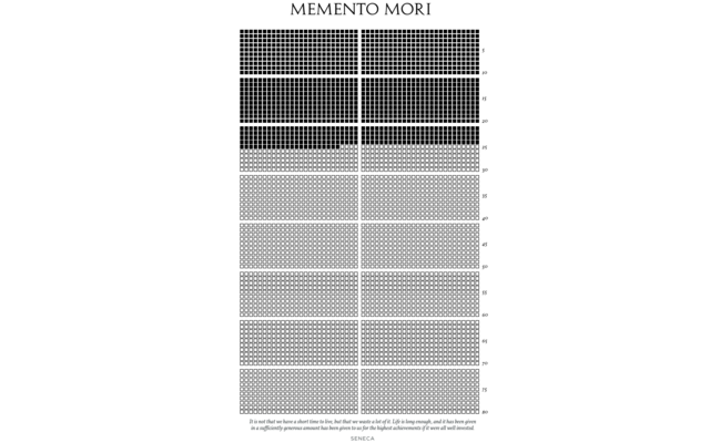 Memento Mori Life Calendar截图1