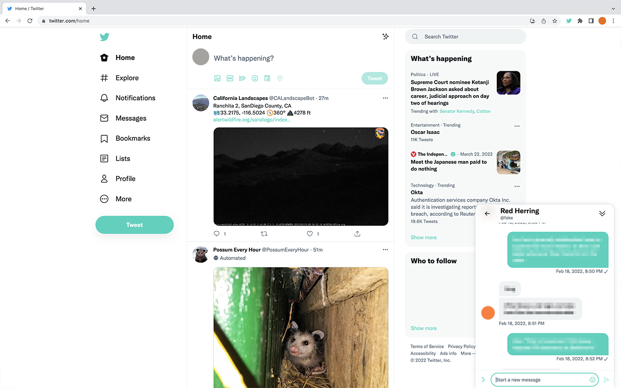 Twitter Custom Color截图2