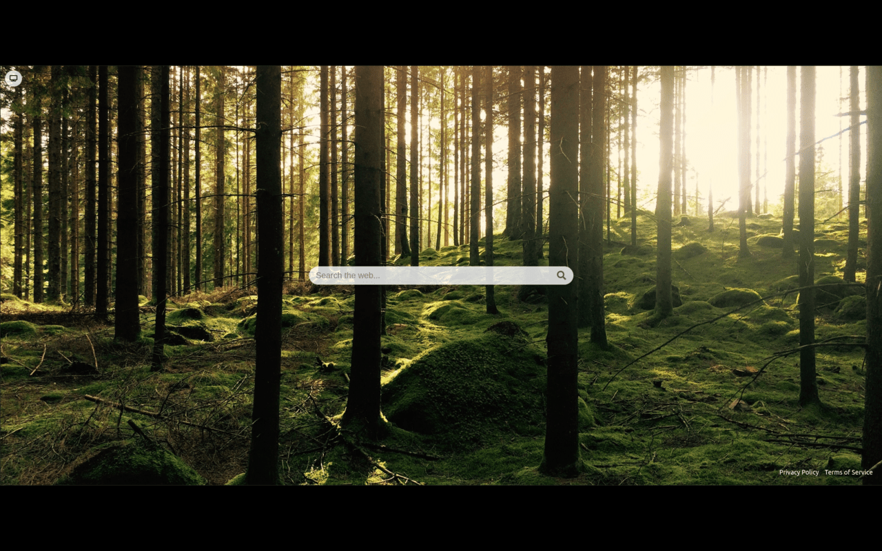 Forest New Tab截图1