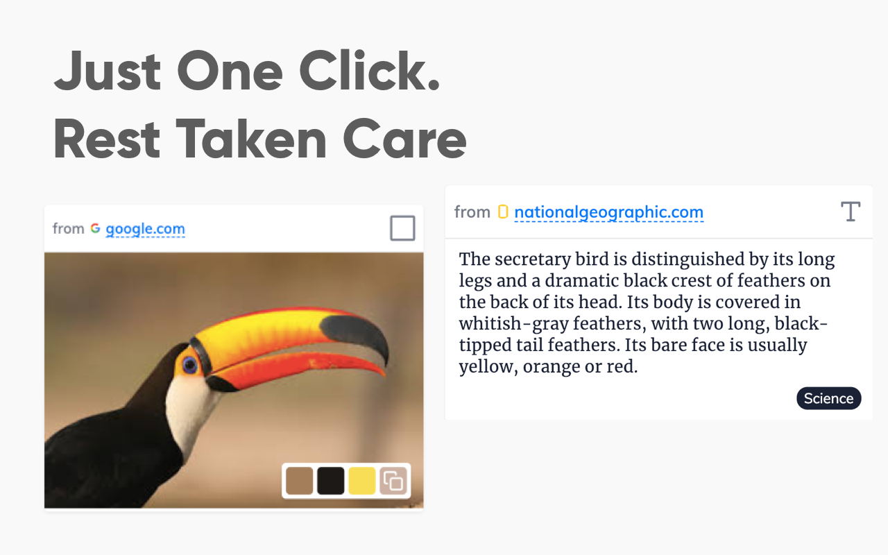 Cutouts截图5