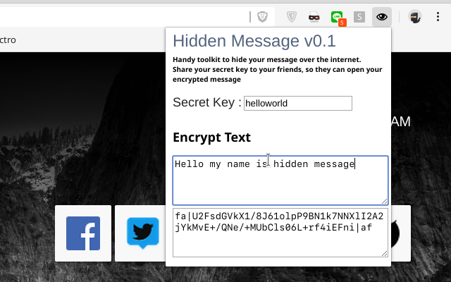 Hidden Message截图1