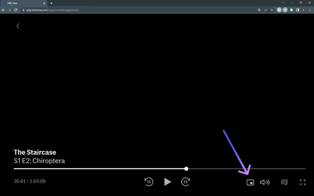 Netflix PiP 现在支持 Prime 和 D+截图2