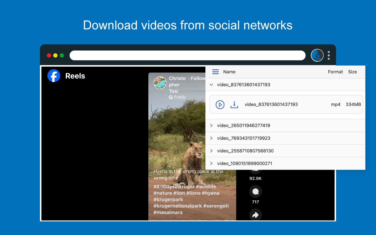 video downloader截图3