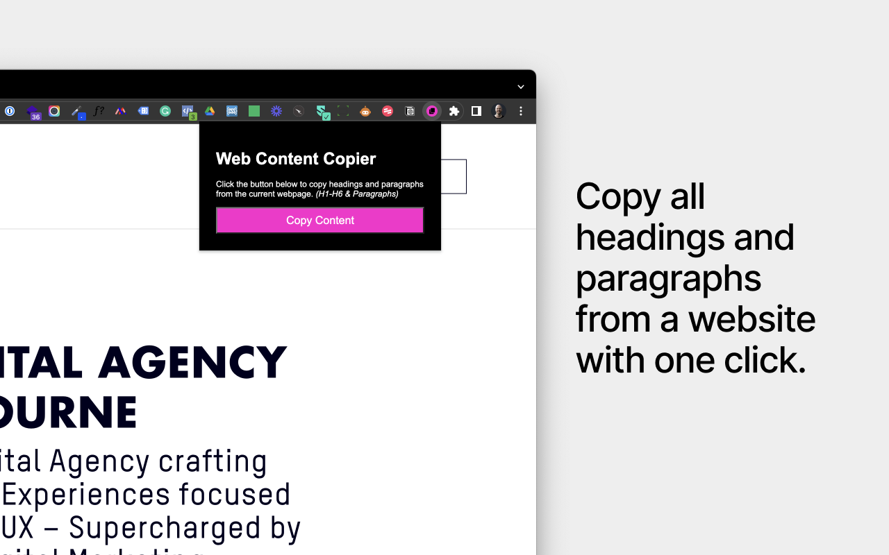 Web Content Copier截图3