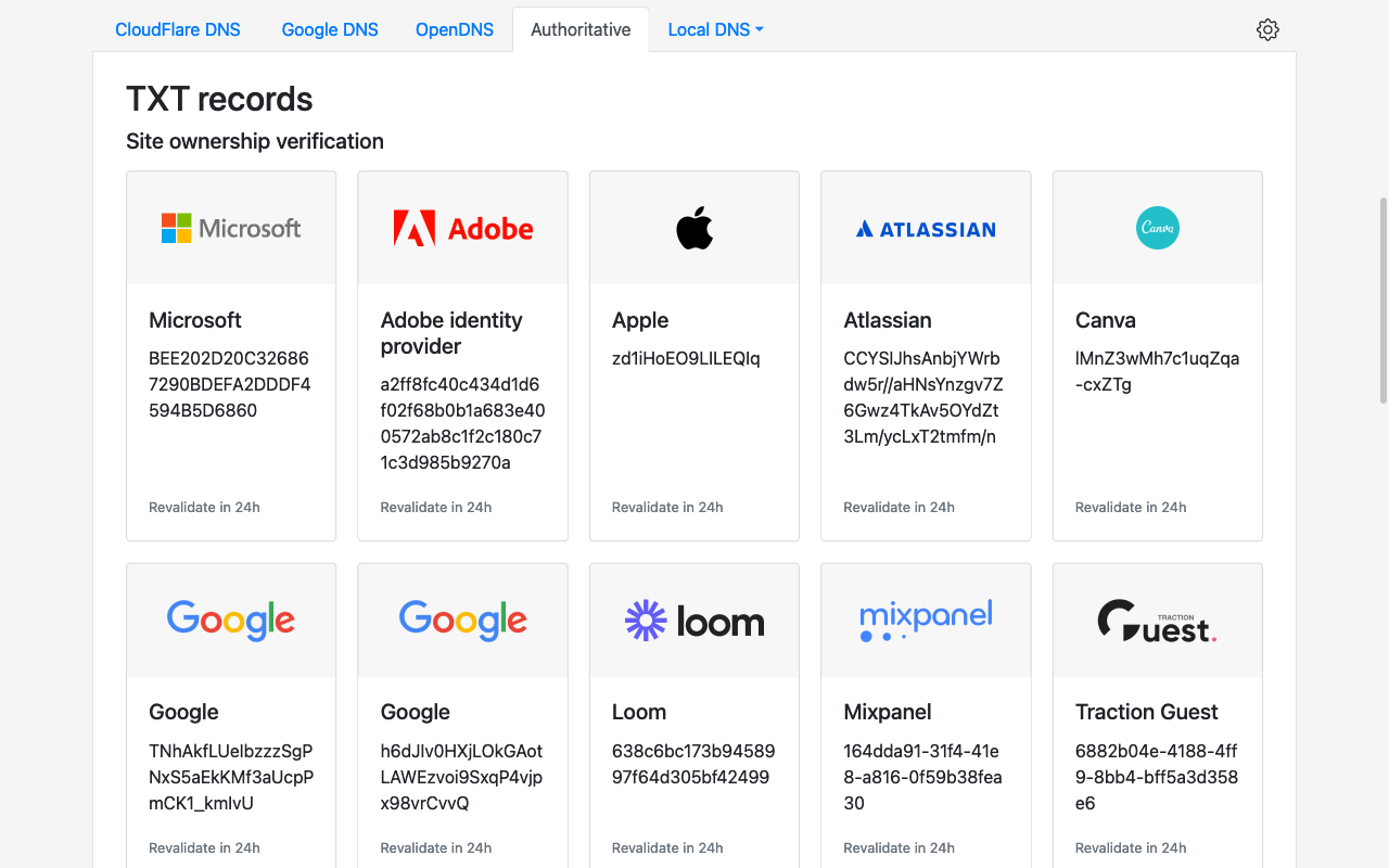 NsLookup - Find DNS Records截图4