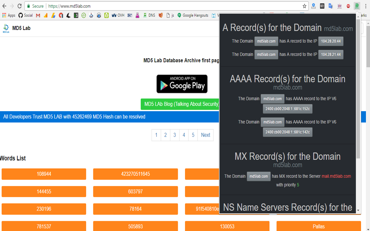DNS Into截图1