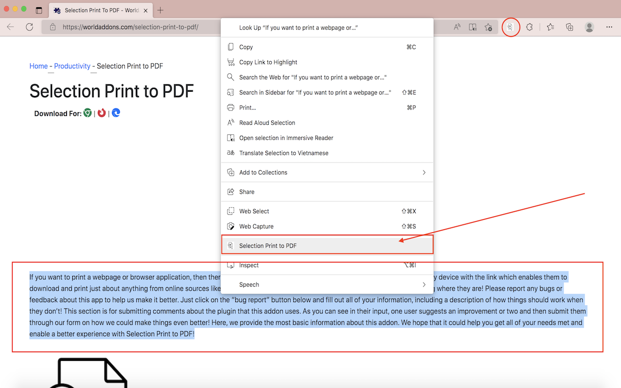 Selection Print to PDF截图1