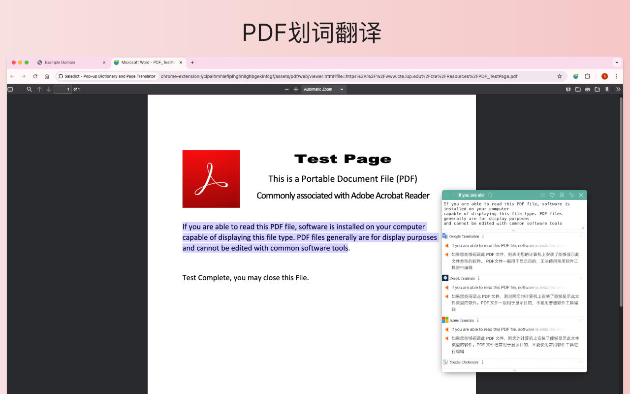 沙拉翻译:聚合词典 、划词翻译、沉浸式(对照)翻译 & 查词截图2