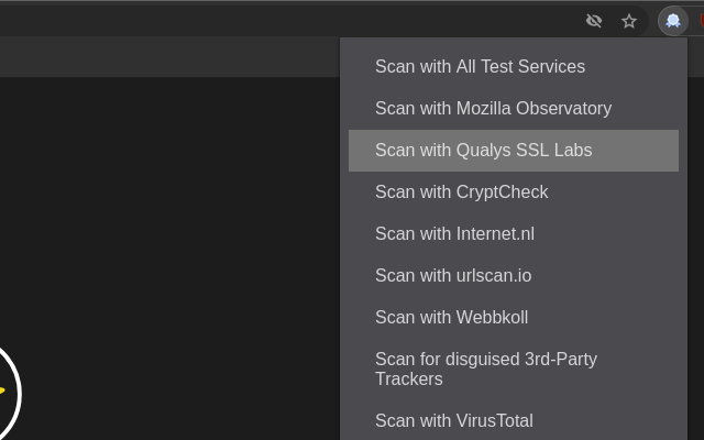 SSL Server Test截图1