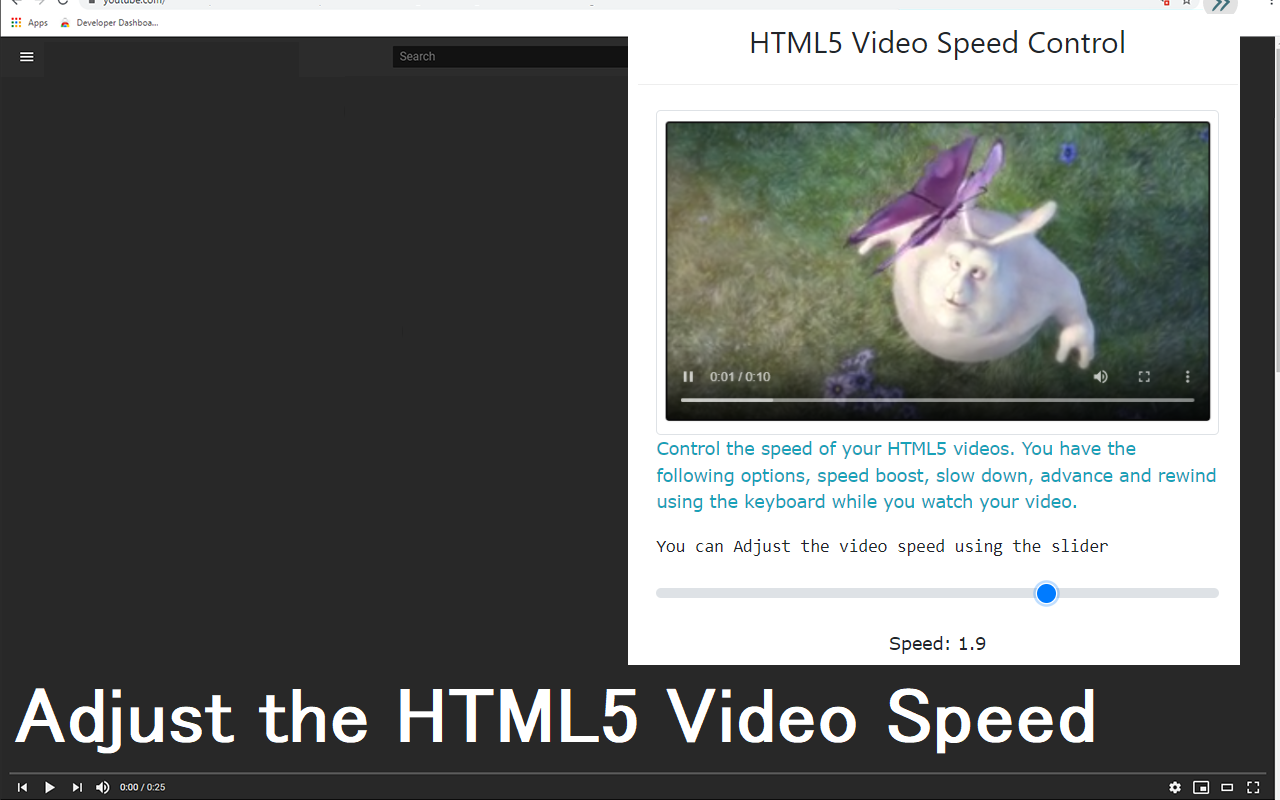 HTML5视频速度控制截图1