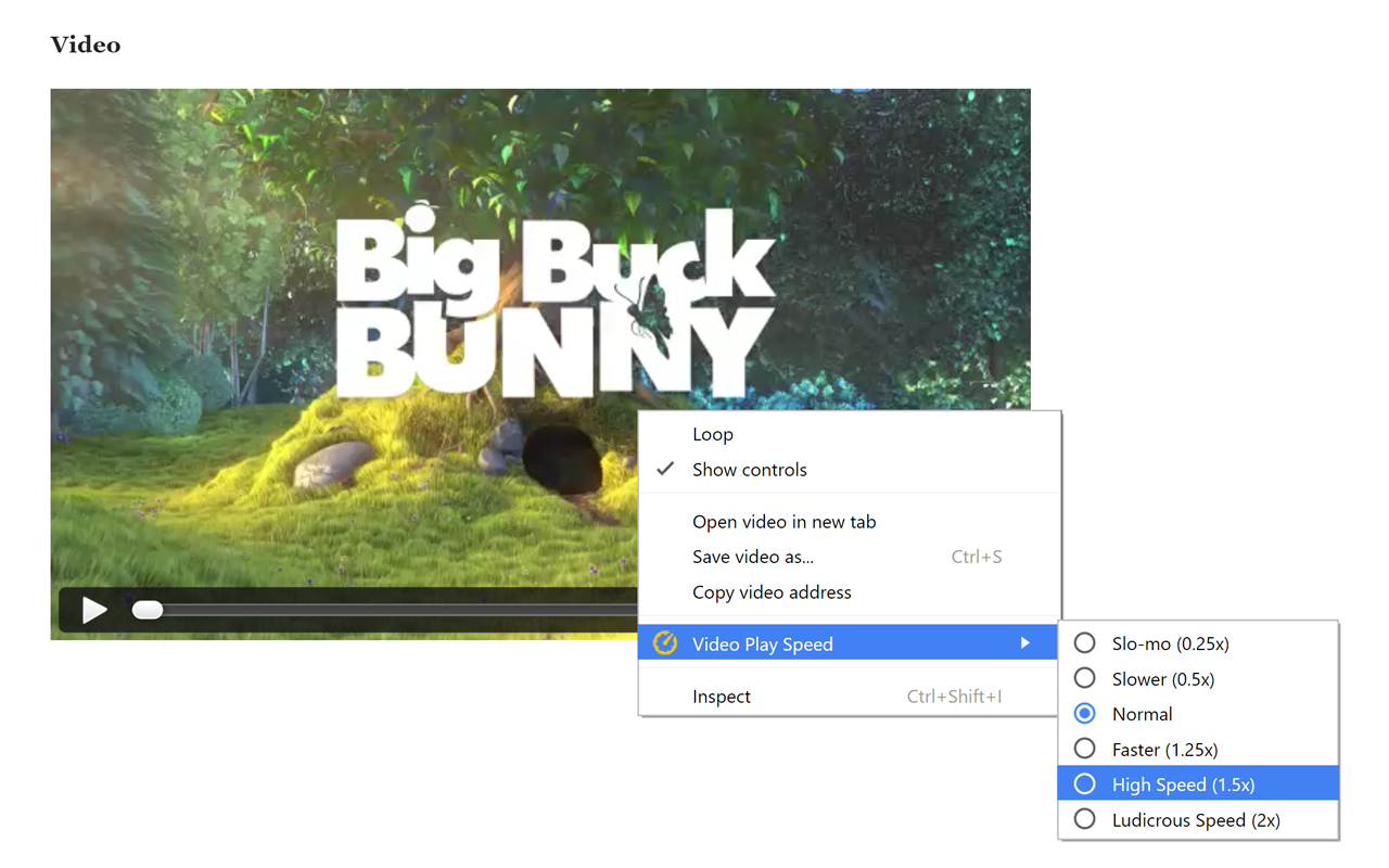 Video Play Speed截图1