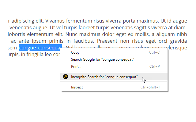 Incognito Search Plus截图1