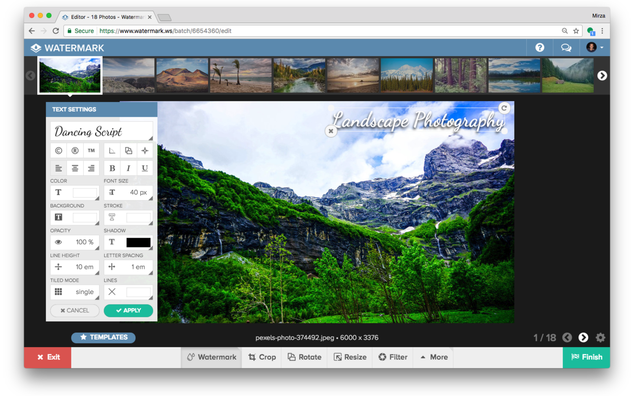 Watermark.ws: Batch Watermark Photos & Videos截图2