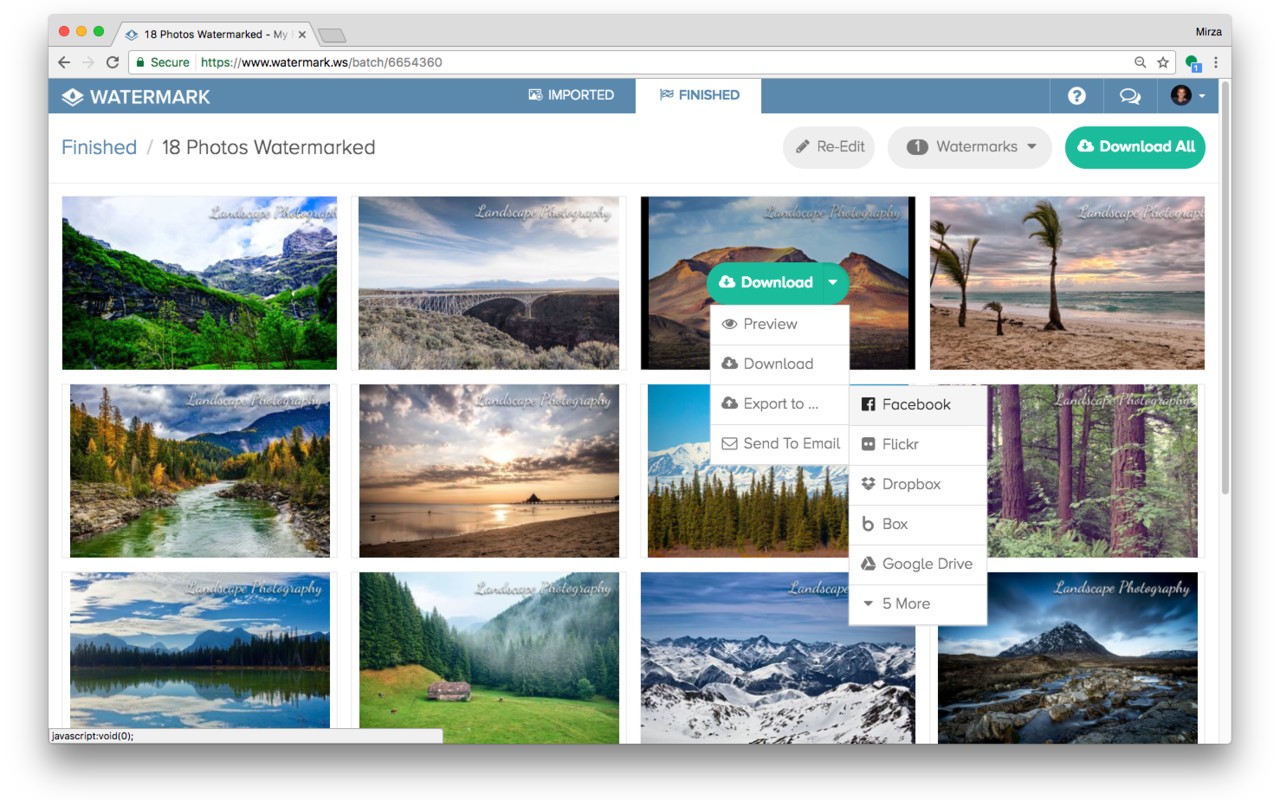 Watermark.ws: Batch Watermark Photos & Videos截图3