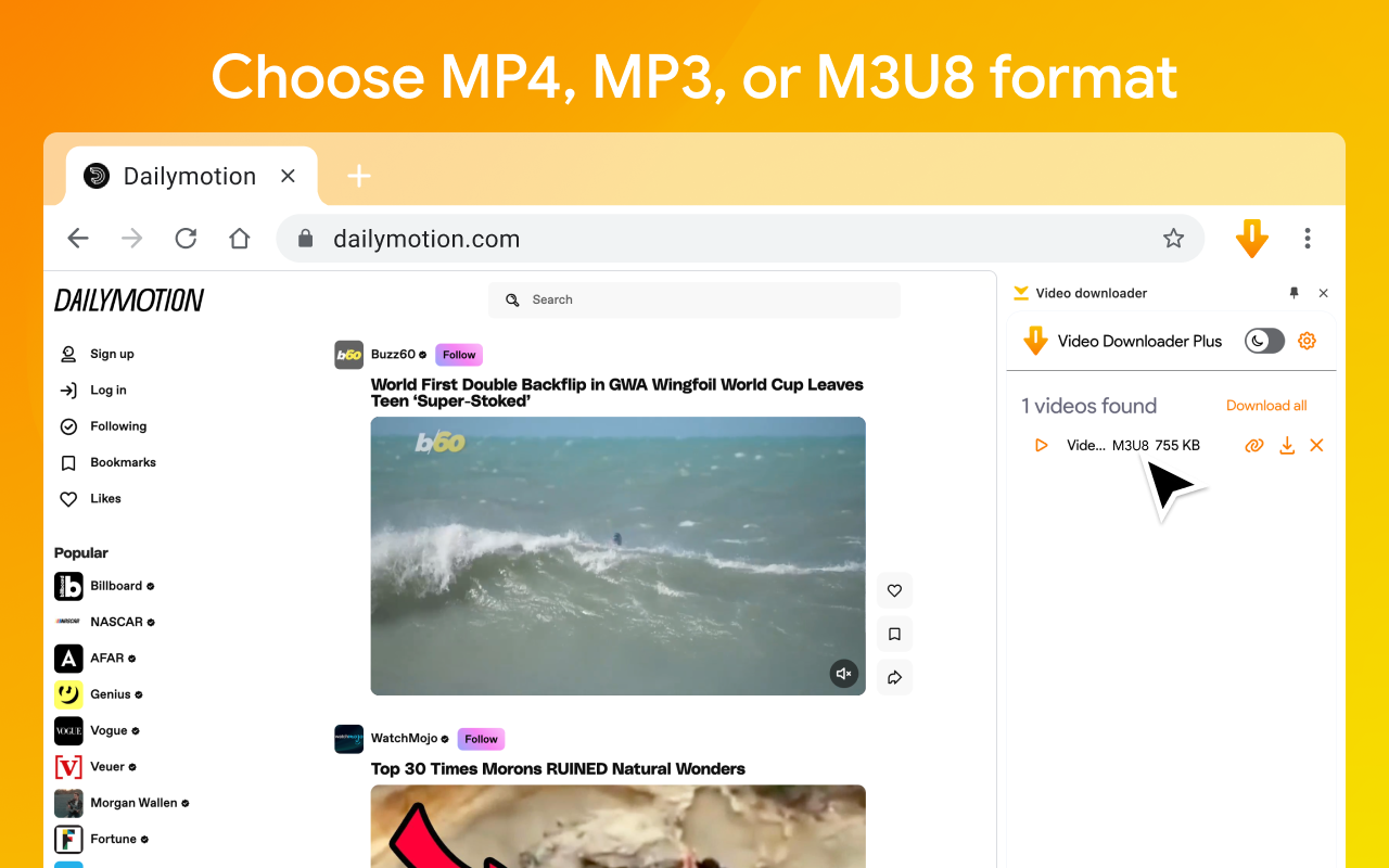 Video Downloader HD截图1