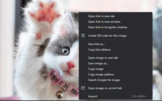 Open image in current tab截图1