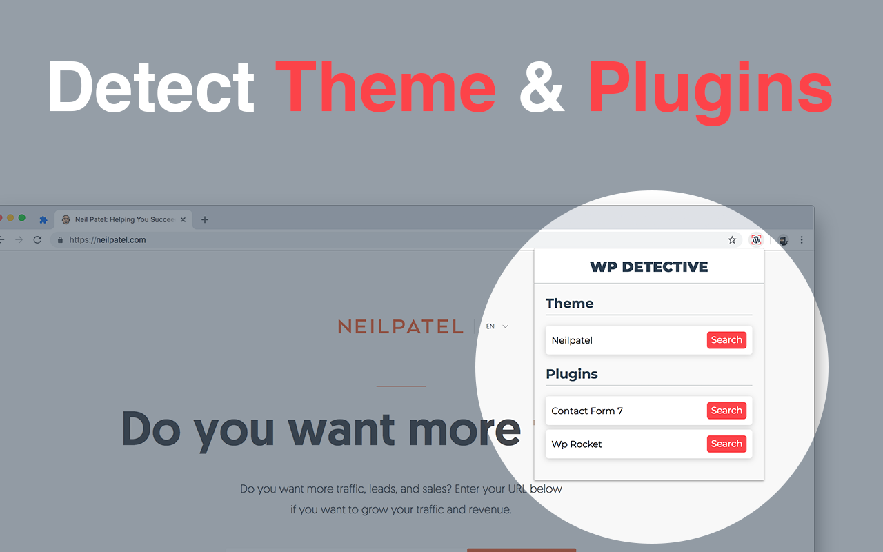 Detect WordPress themes & plugins截图2