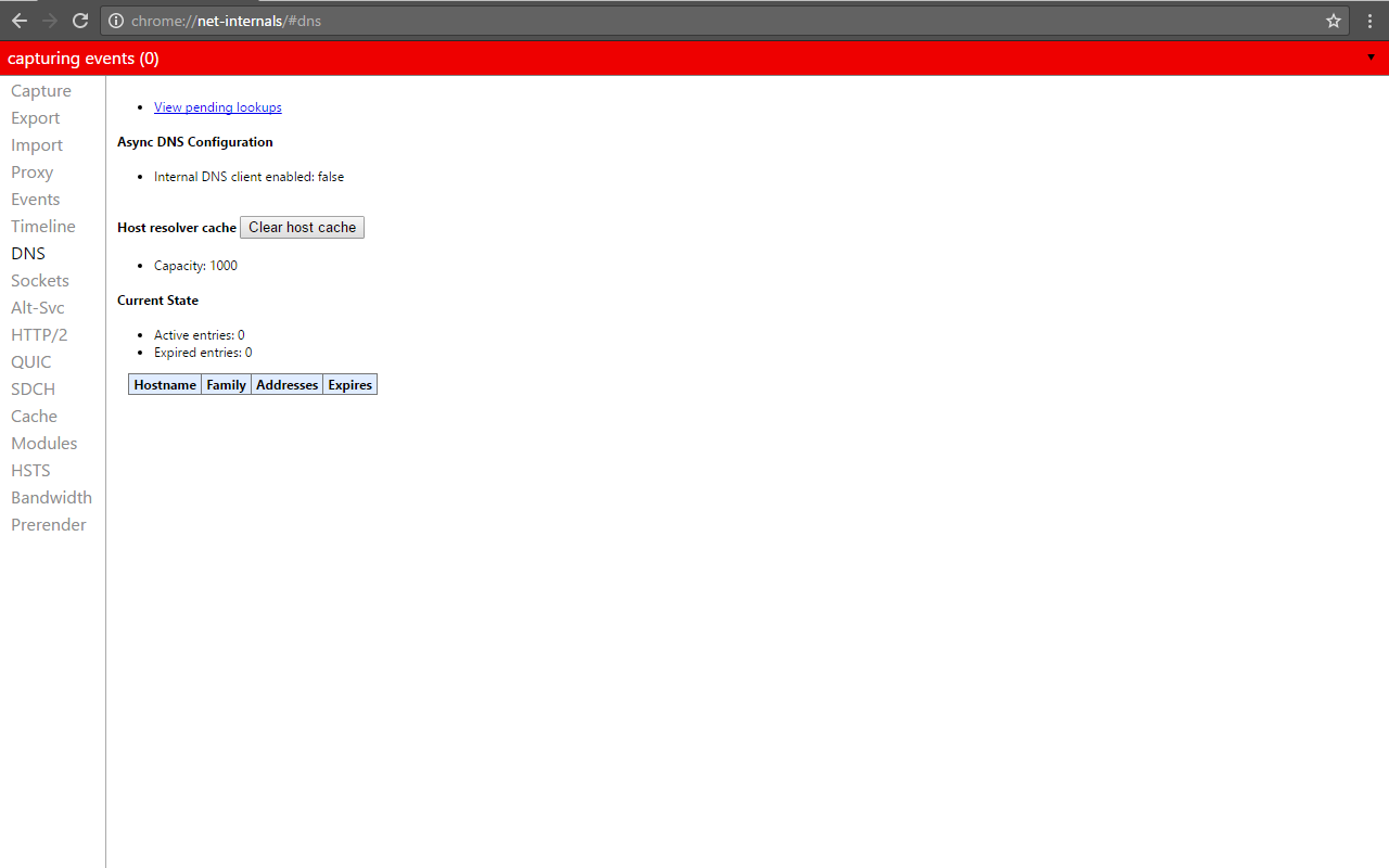 Flush DNS & close sockets截图3