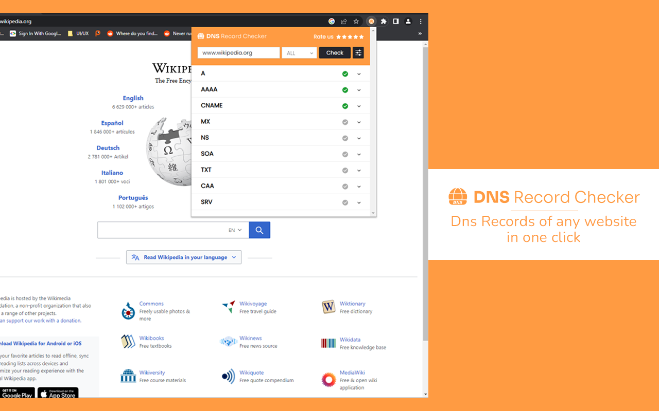 DNS记录检查器截图1