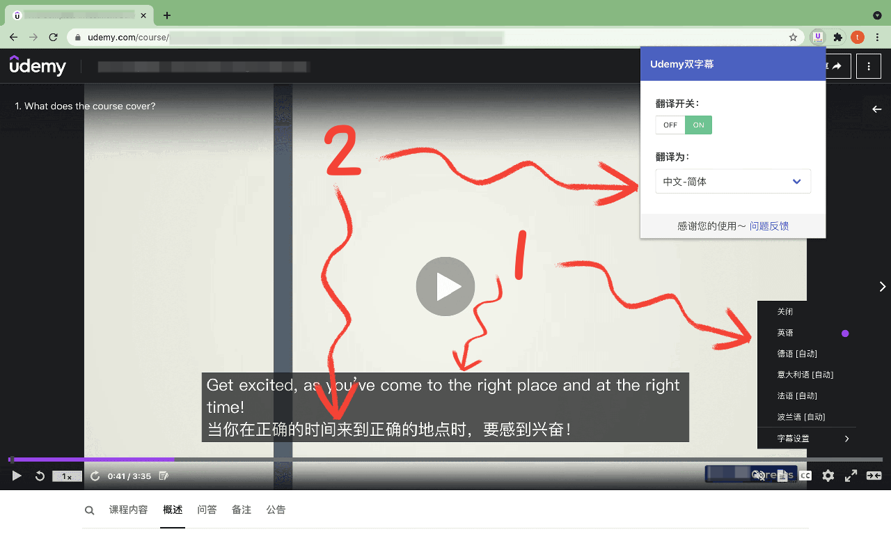 Udemy双字幕 - 字幕翻译器截图4