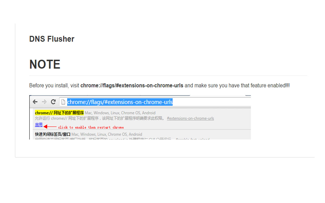 DNS Flusher截图1