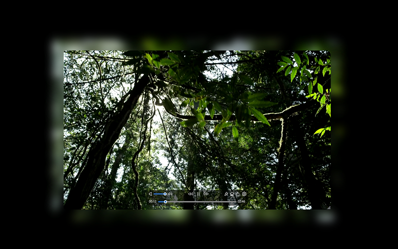 Aurora Player截图1
