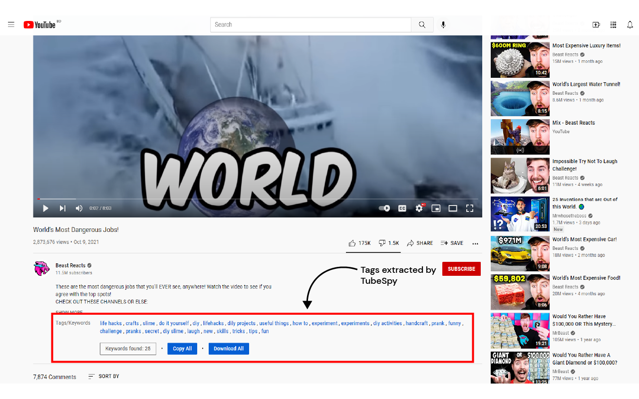 TubeSpy截图1