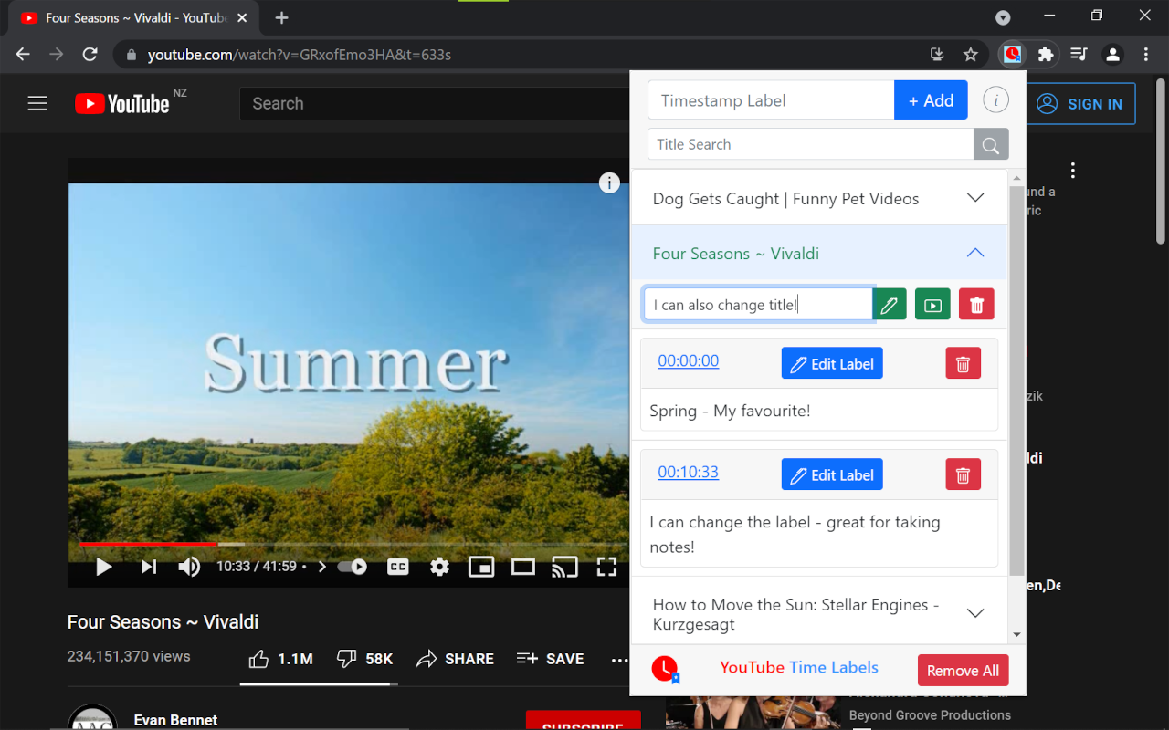 YouTube Time Labels截图1