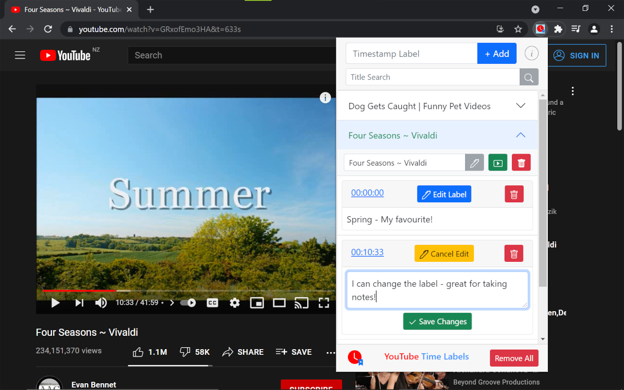 YouTube Time Labels截图5