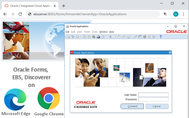 ThinForms Enterprise - for Oracle Forms + EBS截图1