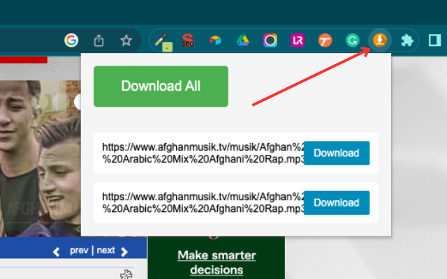 Bulk File Downloader截图2