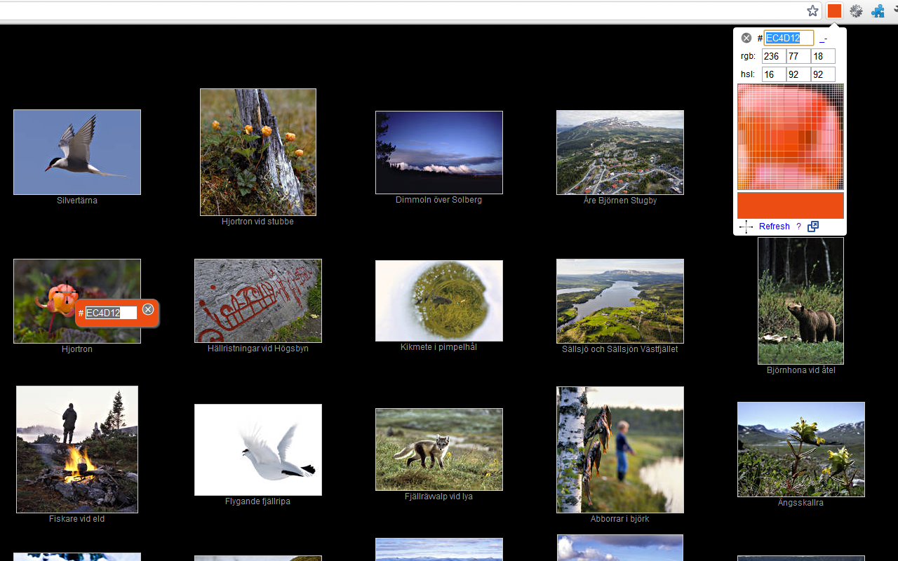 ColorPick Eyedropper截图2