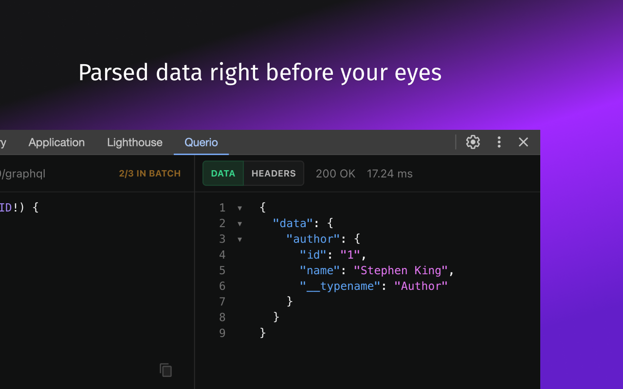 Querio - GraphQL and HTTP requests inspector截图2