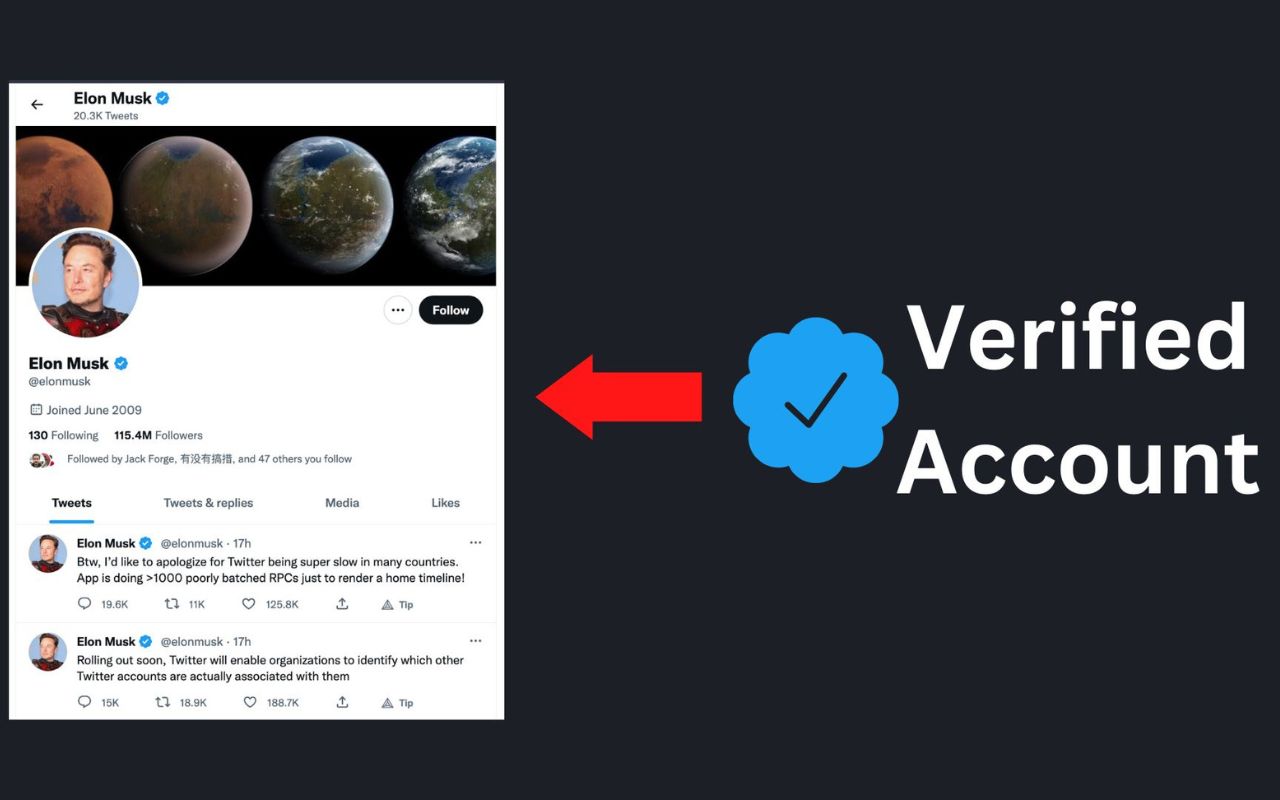 Tweep: Distinguish b/w Blue & Verified Users截图1