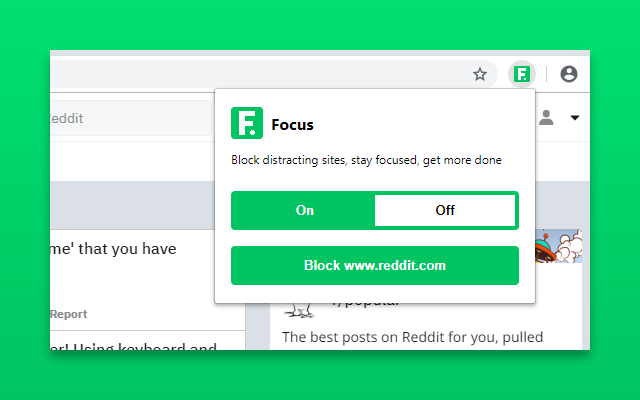 Focus截图3
