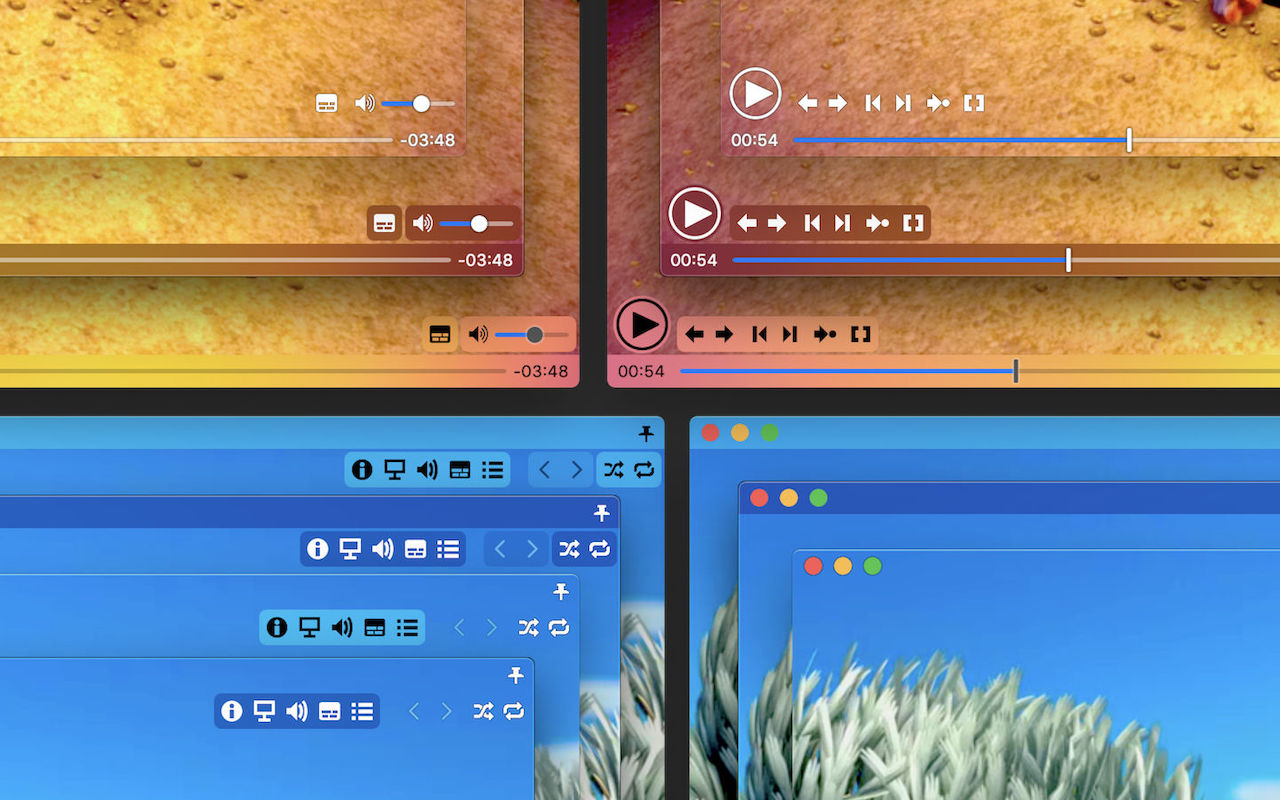 Movist Pro extension截图1